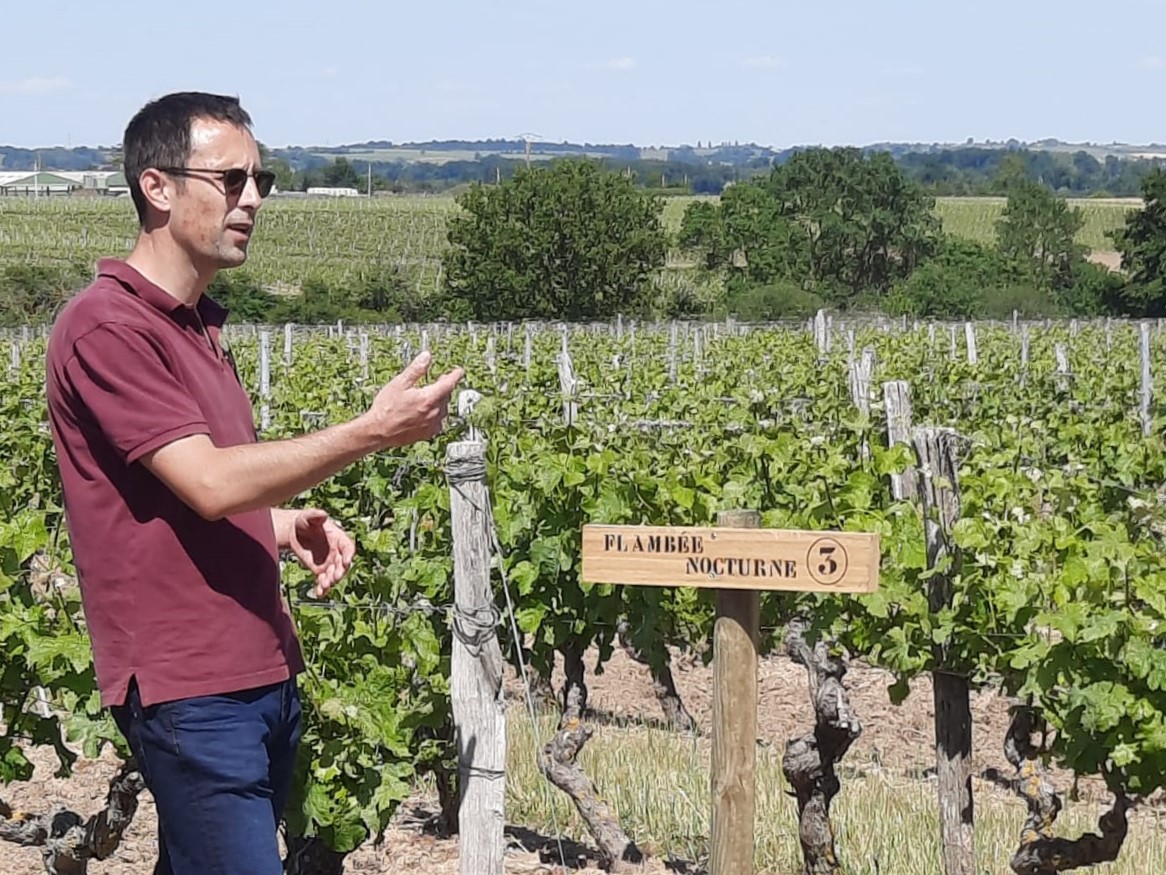 visite d'un vignoble en Val de Loire