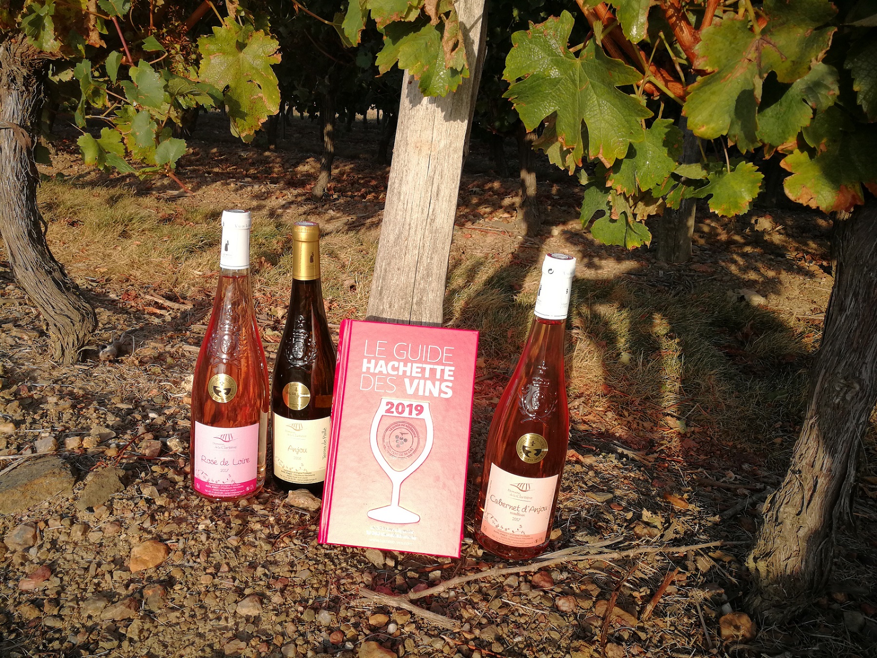 Vins classés guide Hachette 2019 Vins classés guide Hachette 2019