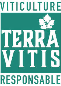 Logo terra vitis