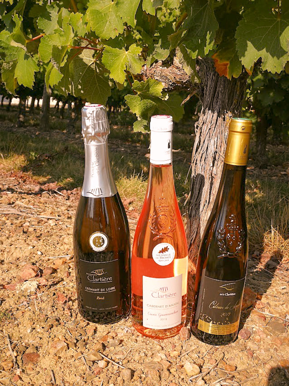 vins anjou domaine de la clartiere